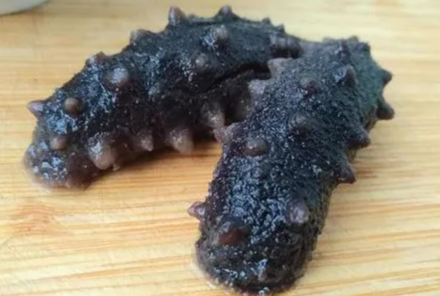 怎么樣的海參才是好的