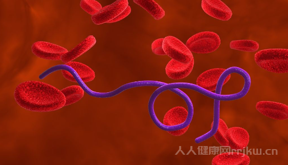 血清堿性磷酸酶偏低的原因