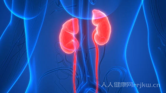 肝功能12項檢查多少錢