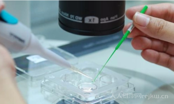 什么是試管嬰兒短方案,試管嬰兒有哪些方案圖3
