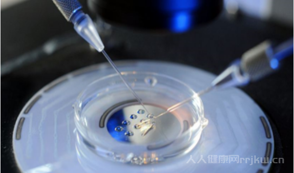 試管移植后吃什么容易著床
